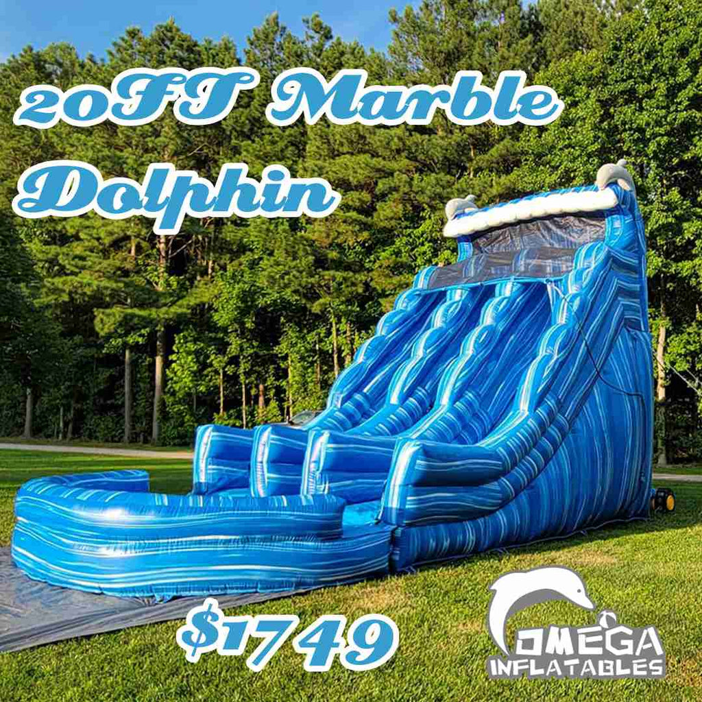 20FT Marble Dolphin Water Slide