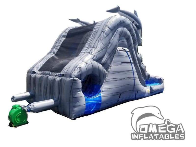13FT Dolphin Water Slide
