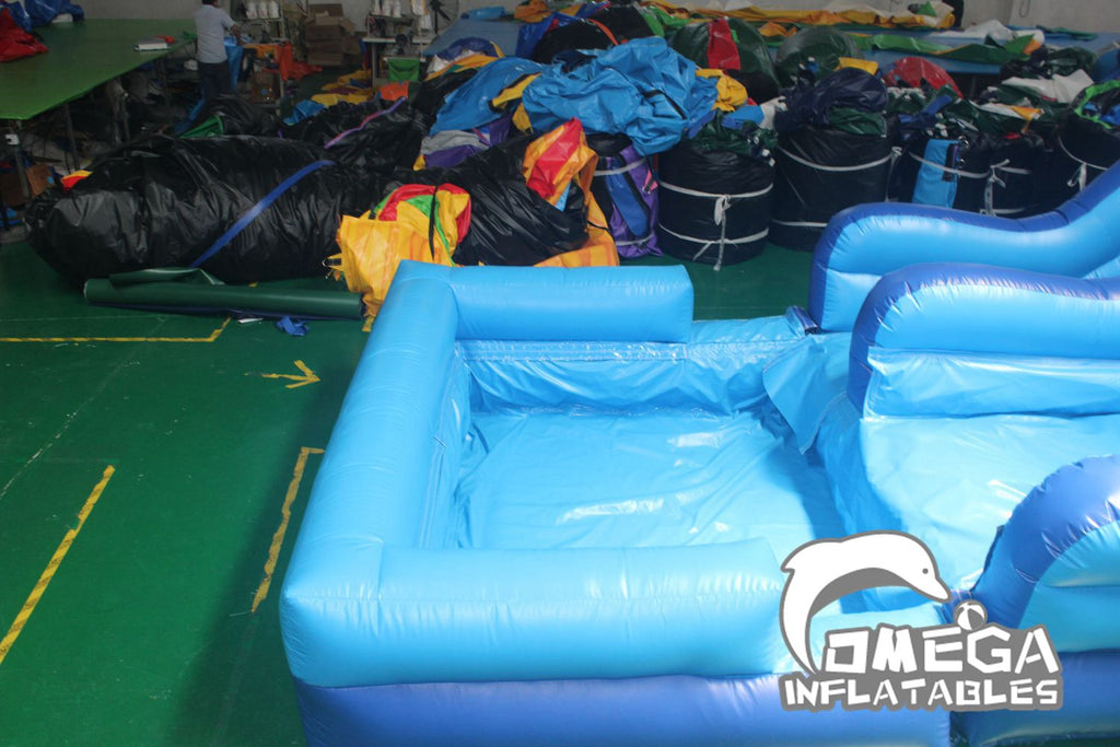 20FT Inflatable Dolphin Water Slide for Sale