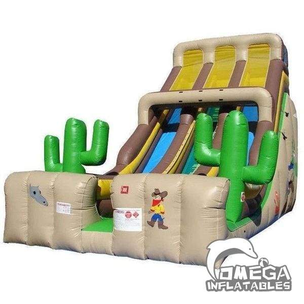 20FT China Inflatable Factory Western Double Lane Slide