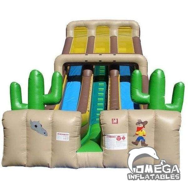 20FT China Inflatable Factory Western Double Lane Slide