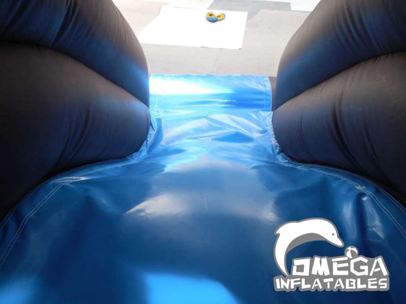 Bouncy Castle with Double Slide