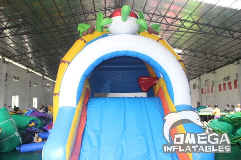 Clownfish Wet Dry Combo Buy Bounce House with Slide
