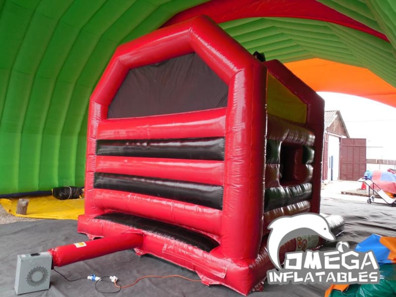 Inflatable Cat Front Slide Bouncer