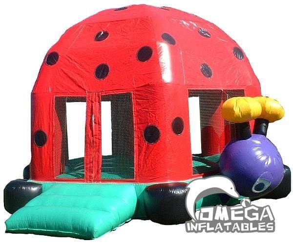 Ladybug Inflatable Bounce