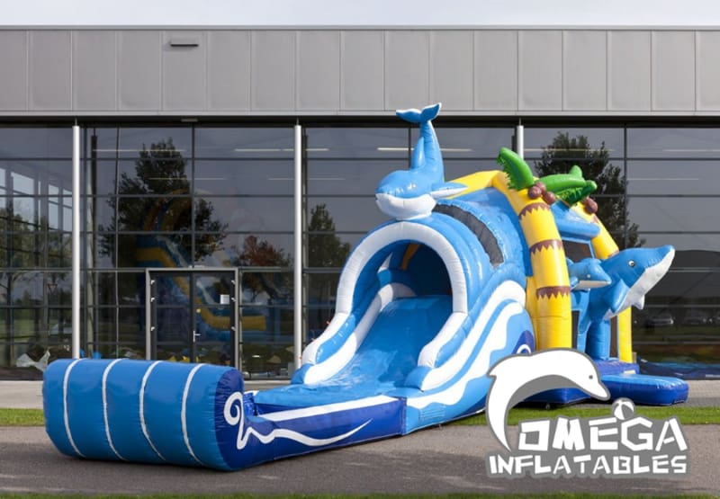 Large Inflatable Dolphin Jumper Combo